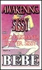 Awakening of a Sissy and Bad Husband, Better Sissy eBook by Bebe mags inc, novelettes, crossdressing stories, transgender, transsexual, transvestite stories, female domination, Bebe